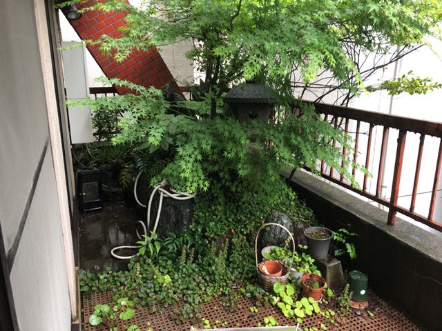 東京都中央区日本橋本町のバルコニー花壇・植栽撤去処分前の様子です。